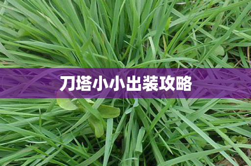 刀塔小小出装攻略