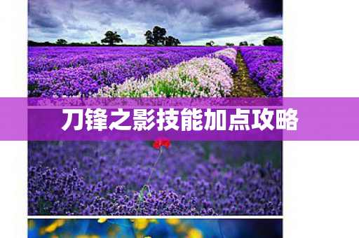 刀锋之影技能加点攻略