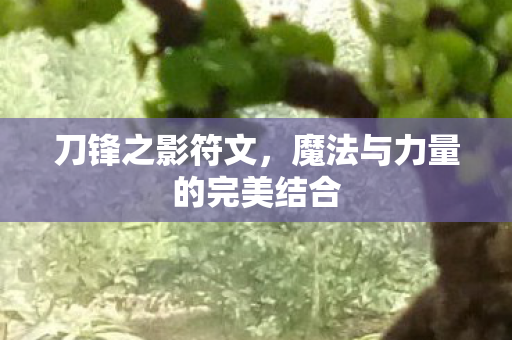 刀锋之影符文,魔法与力量的完美结合 刀锋之影符文,魔法与力量的完美结合