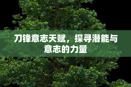 刀锋意志天赋,探寻潜能与意志的力量 刀锋意志天赋,探寻潜能与意志的力量