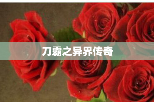 刀霸之异界传奇 刀霸之异界传奇