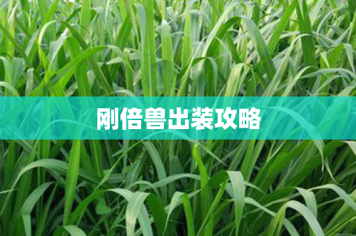 刚倍兽出装攻略
