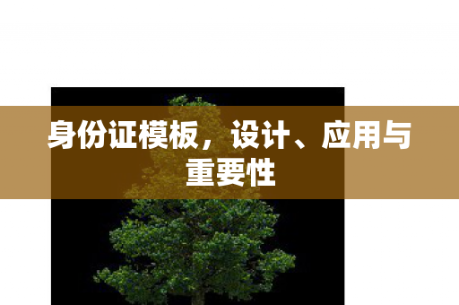 身份证模板,设计、应用与重要性 身份证模板,设计、应用与重要性