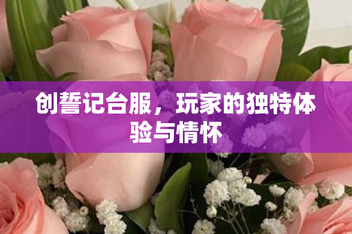 创誓记台服,玩家的独特体验与情怀 创誓记台服,玩家的独特体验与情怀