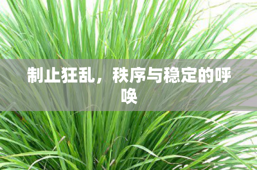 制止狂乱,秩序与稳定的呼唤 制止狂乱,秩序与稳定的呼唤