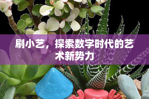 刷小艺,探索数字时代的艺术新势力 刷小艺,探索数字时代的艺术新势力