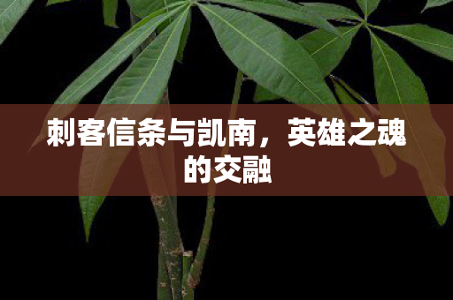 刺客信条与凯南,英雄之魂的交融 刺客信条与凯南,英雄之魂的交融