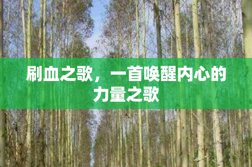 刷血之歌,一首唤醒内心的力量之歌 刷血之歌,一首唤醒内心的力量之歌