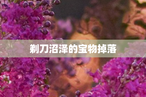 剃刀沼泽的宝物掉落 剃刀沼泽的宝物掉落