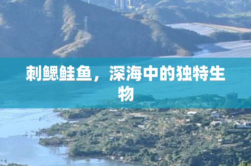 刺鳃鲑鱼,深海中的独特生物 刺鳃鲑鱼,深海中的独特生物