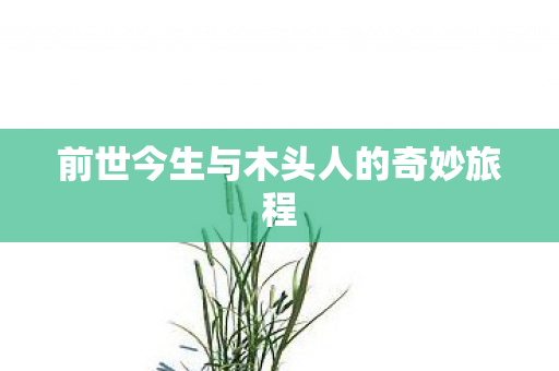 前世今生与木头人的奇妙旅程 前世今生与木头人的奇妙旅程