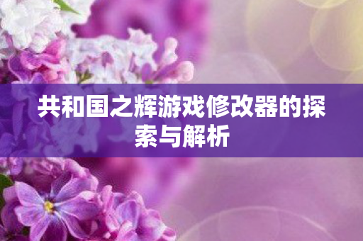 共和国之辉游戏修改器的探索与解析 共和国之辉游戏修改器的探索与解析