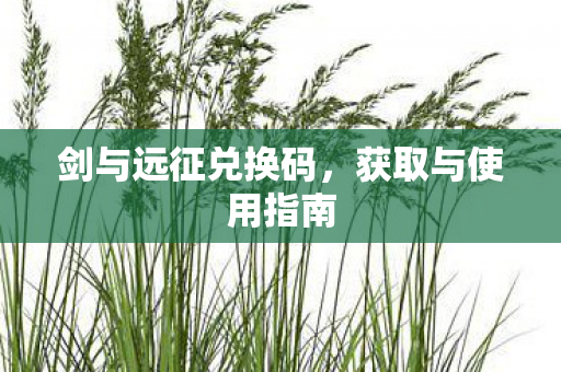 剑与远征兑换码,获取与使用指南 剑与远征兑换码,获取与使用指南