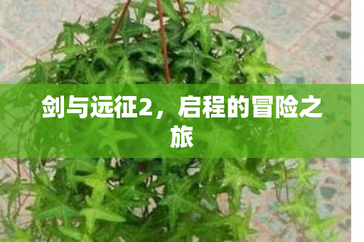 剑与远征2,启程的冒险之旅 剑与远征2,启程的冒险之旅
