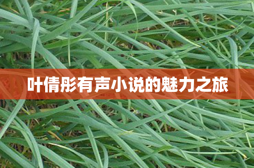 叶倩彤有声小说的魅力之旅 叶倩彤有声小说的魅力之旅