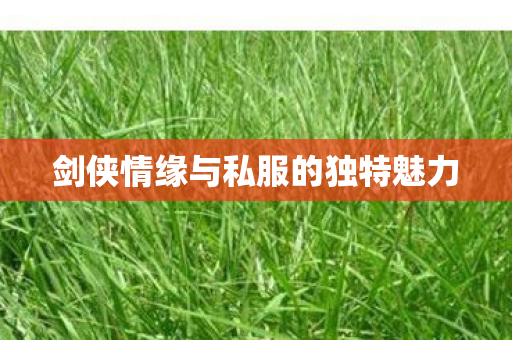 剑侠情缘与私服的独特魅力 剑侠情缘与私服的独特魅力