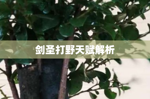 剑圣打野天赋解析 剑圣打野天赋解析