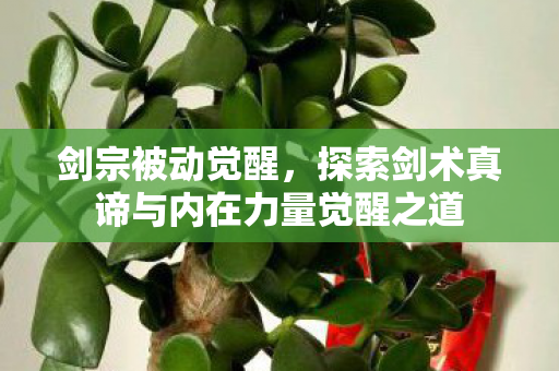 剑宗被动觉醒,探索剑术真谛与内在力量觉醒之道 剑宗被动觉醒,探索剑术真谛与内在力量觉醒之道