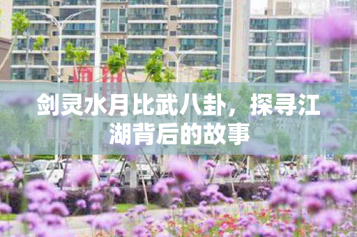 剑灵水月比武八卦,探寻江湖背后的故事 剑灵水月比武八卦,探寻江湖背后的故事