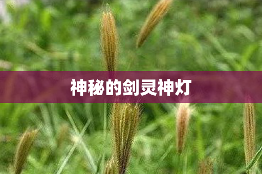 神秘的剑灵神灯 神秘的剑灵神灯