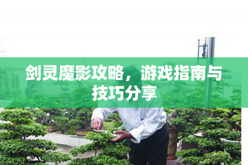 剑灵魔影攻略,游戏指南与技巧分享 剑灵魔影攻略,游戏指南与技巧分享