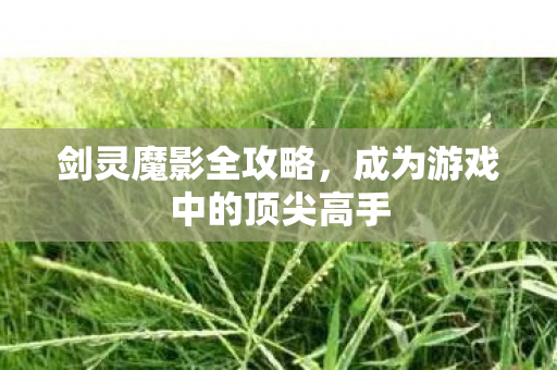 剑灵魔影全攻略,成为游戏中的顶尖高手 剑灵魔影全攻略,成为游戏中的顶尖高手