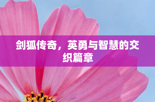 剑狐传奇，英勇与智慧的交织篇章