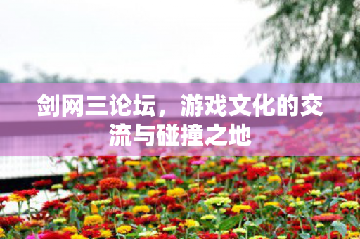 剑网三论坛,游戏文化的交流与碰撞之地 剑网三论坛,游戏文化的交流与碰撞之地