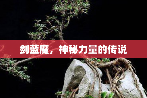 剑蓝魔,神秘力量的传说 剑蓝魔,神秘力量的传说