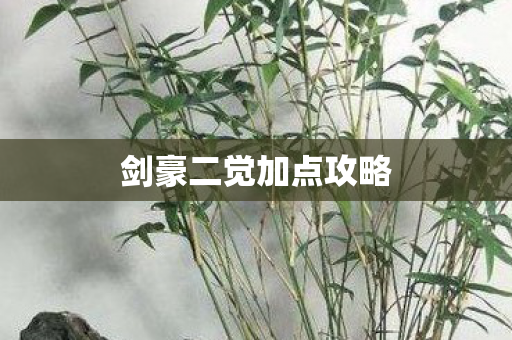 剑豪二觉加点攻略 剑豪二觉加点攻略