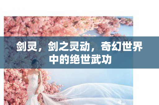 剑灵,剑之灵动,奇幻世界中的绝世武功 剑灵,剑之灵动,奇幻世界中的绝世武功