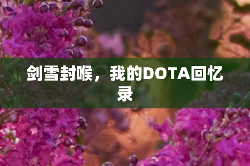 剑雪封喉,我的DOTA回忆录 剑雪封喉,我的DOTA回忆录