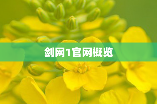 剑网1官网概览 剑网1官网概览