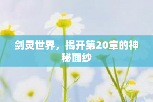 剑灵世界,揭开第20章的神秘面纱 剑灵世界,揭开第20章的神秘面纱