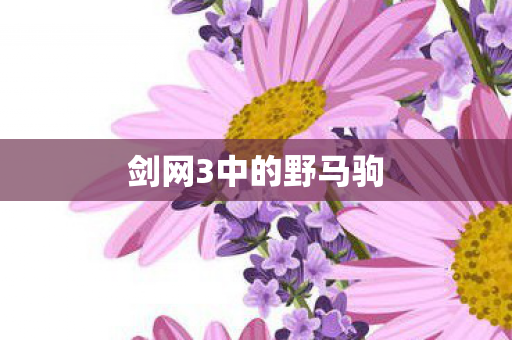 剑网3中的野马驹