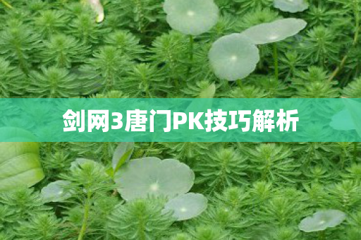 剑网3唐门PK技巧解析 剑网3唐门PK技巧解析