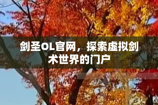 剑圣OL官网,探索虚拟剑术世界的门户 剑圣OL官网,探索虚拟剑术世界的门户