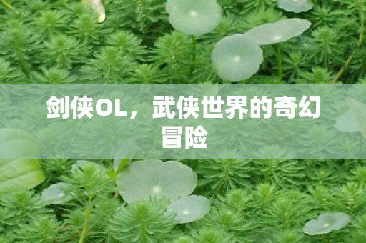 剑侠OL,武侠世界的奇幻冒险 剑侠OL,武侠世界的奇幻冒险