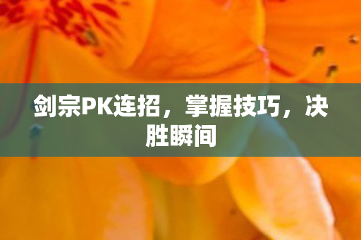 剑宗PK连招,掌握技巧,决胜瞬间 剑宗PK连招,掌握技巧,决胜瞬间