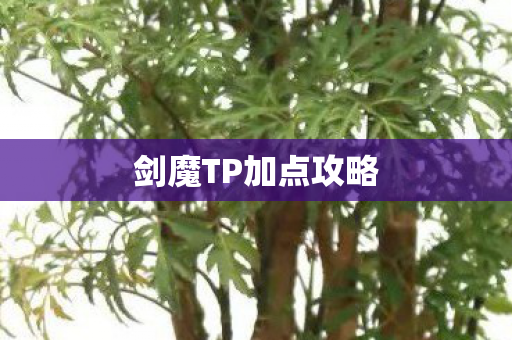 剑魔TP加点攻略 剑魔TP加点攻略