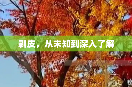 剥皮,从未知到深入了解 剥皮,从未知到深入了解