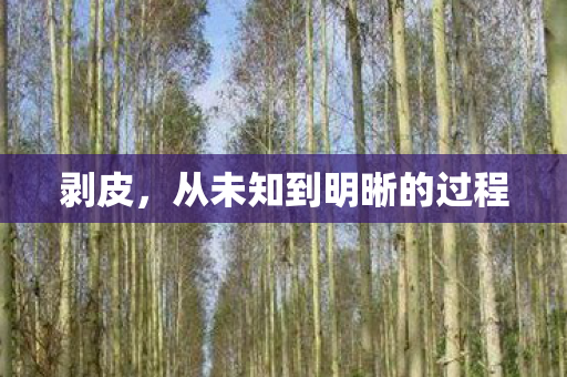 剥皮,从未知到明晰的过程 剥皮,从未知到明晰的过程