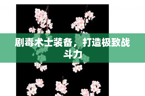 剧毒术士装备,打造极致战斗力 剧毒术士装备,打造极致战斗力