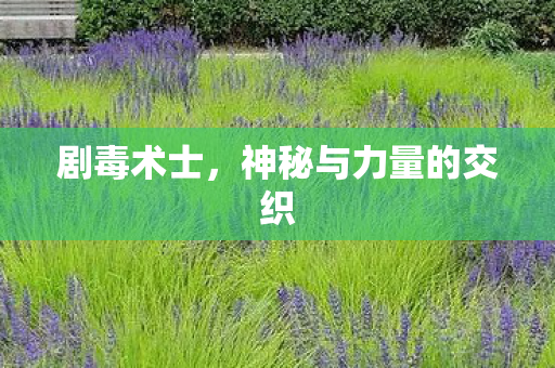 剧毒术士,神秘与力量的交织 剧毒术士,神秘与力量的交织