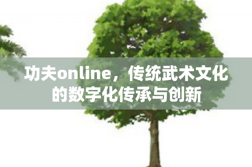 功夫online,传统武术文化的数字化传承与创新 功夫online,传统武术文化的数字化传承与创新