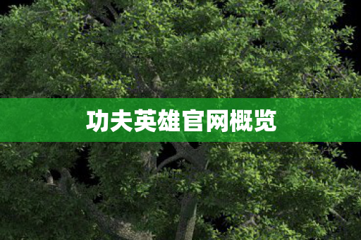 功夫英雄官网概览 功夫英雄官网概览