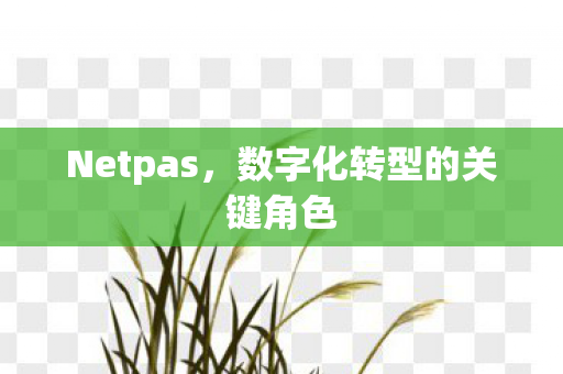 Netpas,数字化转型的关键角色 Netpas,数字化转型的关键角色