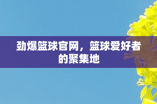 劲爆篮球官网,篮球爱好者的聚集地 劲爆篮球官网,篮球爱好者的聚集地