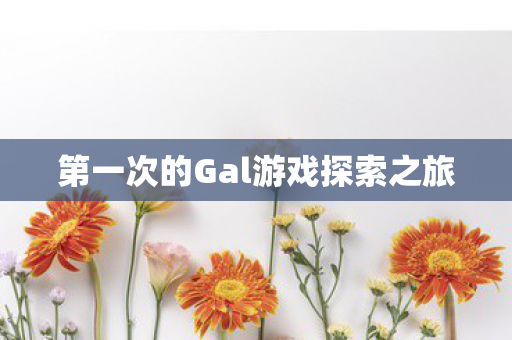 第一次的Gal游戏探索之旅