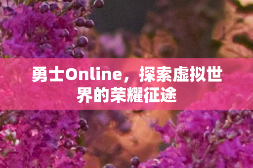 勇士Online，探索虚拟世界的荣耀征途
